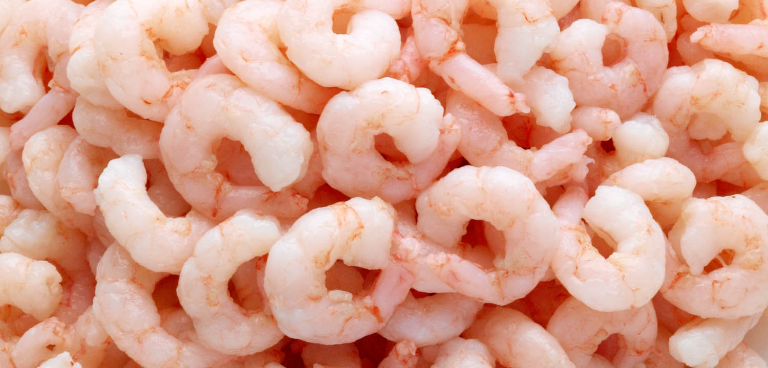 Cooked and Peeled Cold-Water Shrimp from Sirena Group