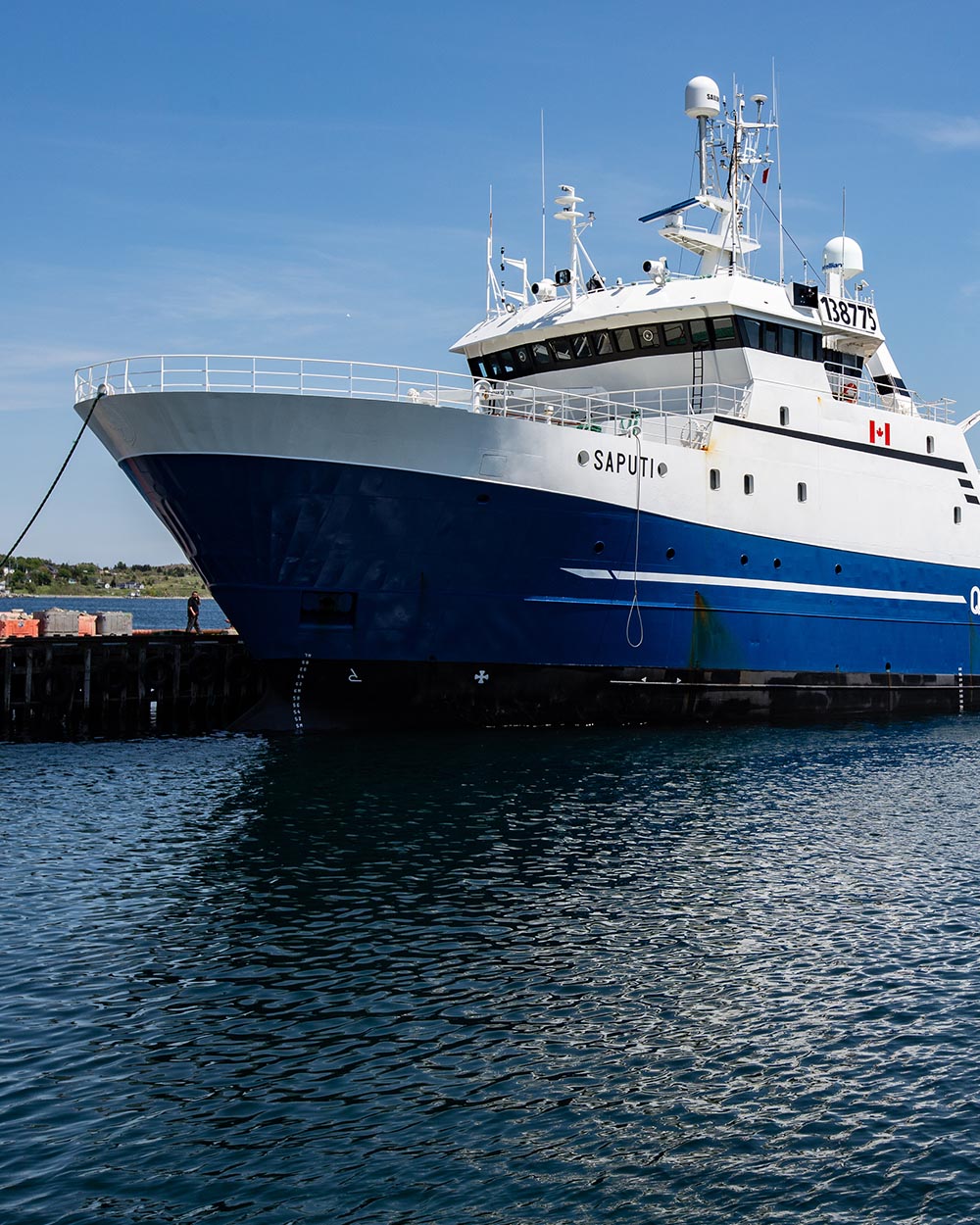 Saputi QFC Partner vessel of Sirena Group